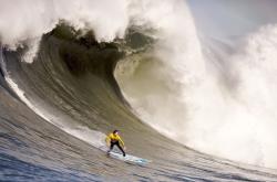 开云体育官网-当深圳队收割黄蜂，布克在总决赛舞台的接管艺术