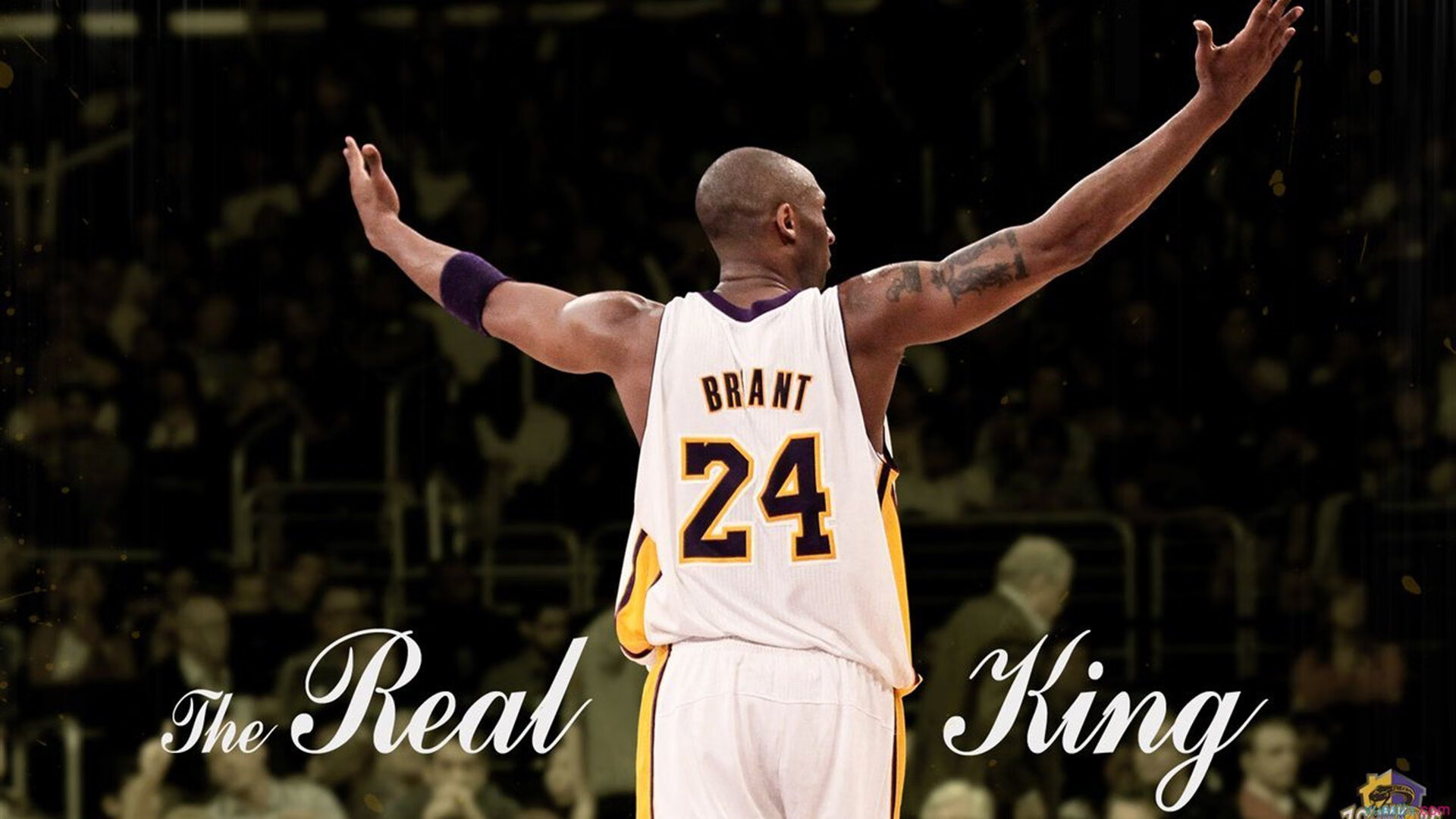 锡安爆发难敌绿军铁壁，凯尔特人淘汰赛力克活塞晋级